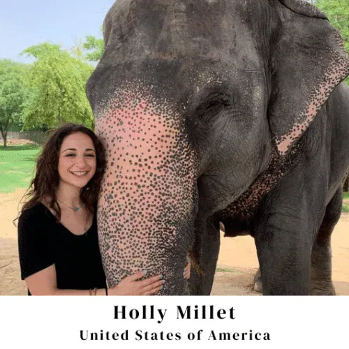 Golden Triangle Tour Package India, Rajasthan Tour Package