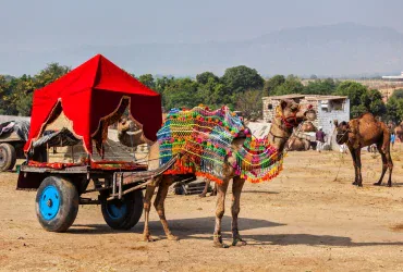 Golden Triangle Tour Package India, Rajasthan Tour Package