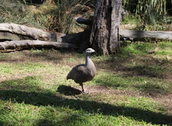 Golden Triangle Tour Package India, Rajasthan Tour Package