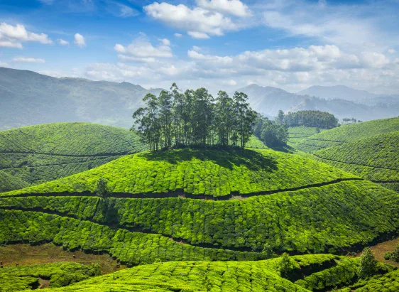 Golden Triangle Tour Package India, Rajasthan Tour Package