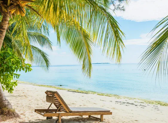 Golden Triangle Goa beach with lounge chair, palm trees