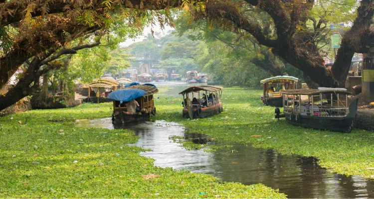 Golden Triangle Tour Package India, Rajasthan Tour Package