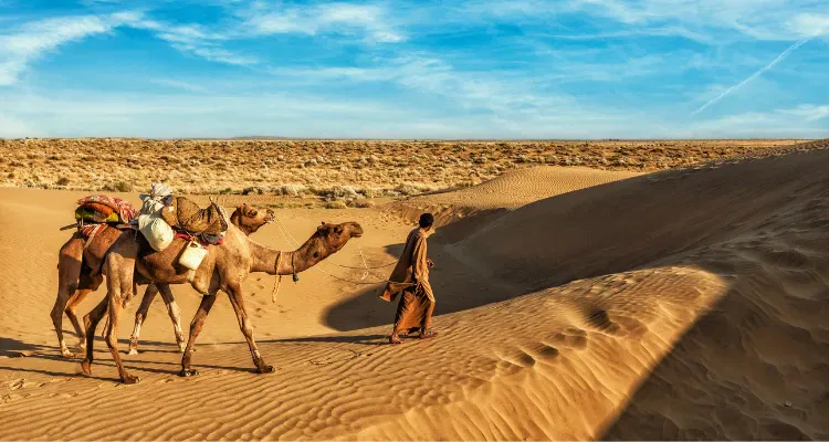 Luxury Golden Triangle Tour with Rajasthan, two camels with cameleer in desert