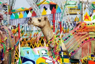 Golden Triangle Tour Package India, Rajasthan Tour Package