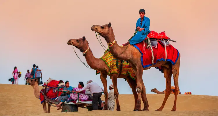 Rajasthani desert tour with camels and vibrant cultural experience at sunset