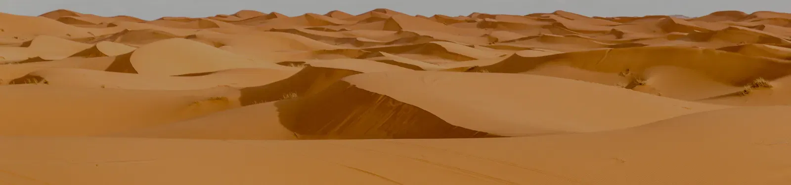 Luxury Rajasthan desert tour with camels and golden sand dunes.