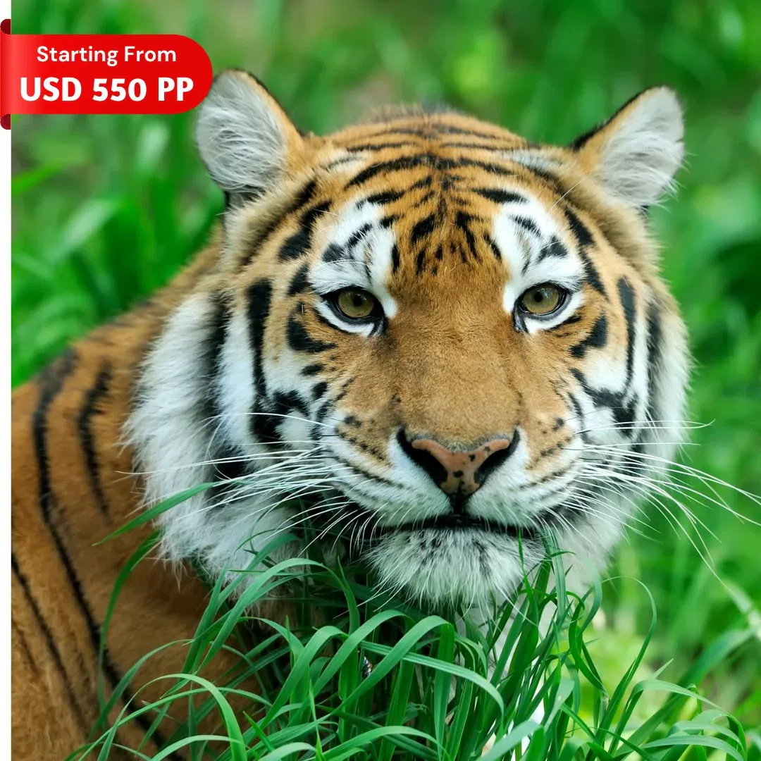 Golden Triangle Tour Package India, Rajasthan Tour Package