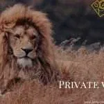 Private Wildlife Tours in India