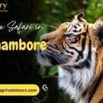 Ranthambore Tour India