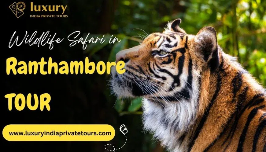 Ranthambore Tour India