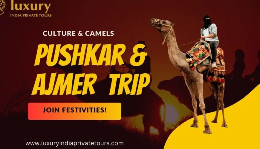 Pushkar and Ajmer Travel