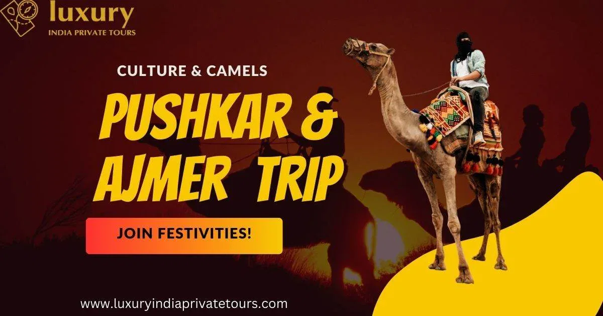 Pushkar and Ajmer Travel