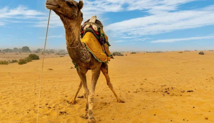 Must-See Places on Golden Triangle Tour