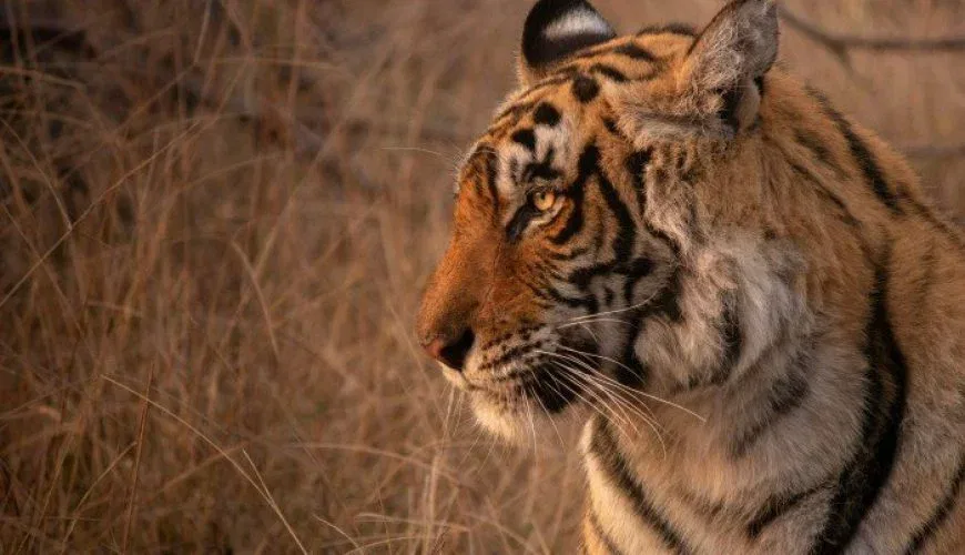 best time to visit rajasthan